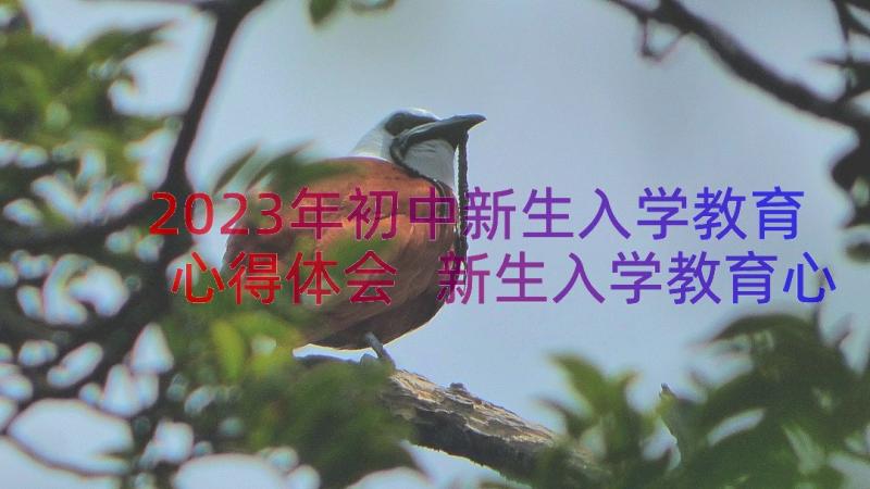 2023年初中新生入学教育心得体会 新生入学教育心得体会(汇总11篇)