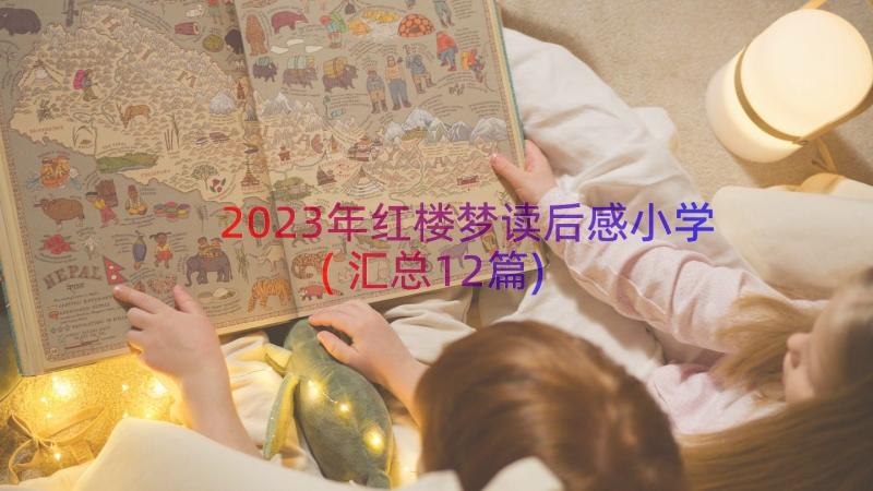 2023年红楼梦读后感小学(汇总12篇)