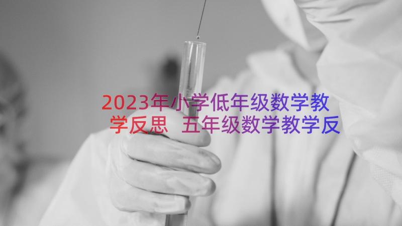 2023年小学低年级数学教学反思 五年级数学教学反思(优秀8篇)