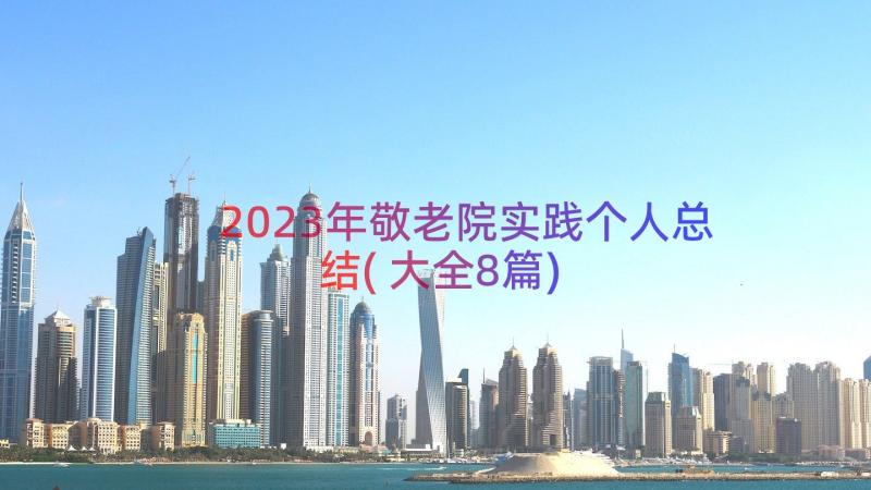 2023年敬老院实践个人总结(大全8篇)