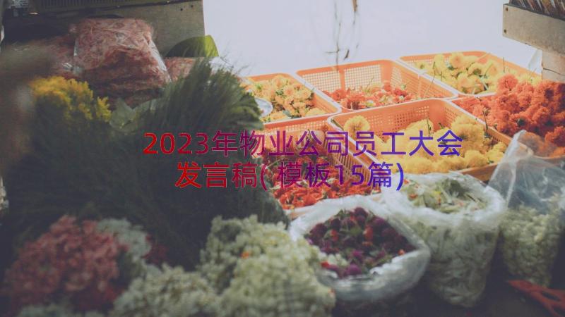 2023年物业公司员工大会发言稿(模板15篇)