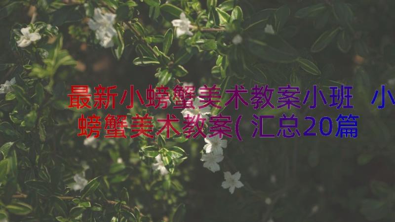 最新小螃蟹美术教案小班 小螃蟹美术教案(汇总20篇)