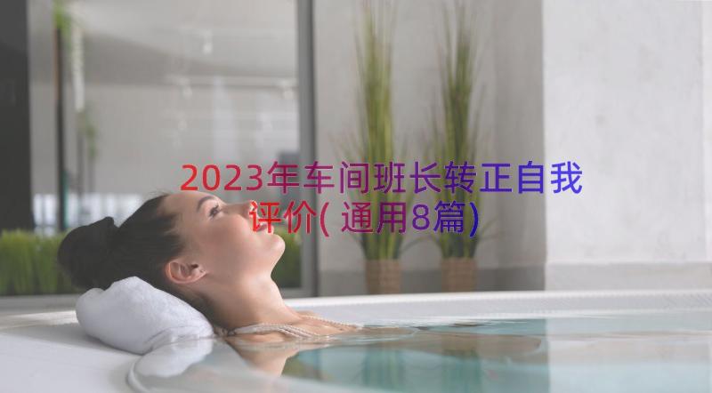 2023年车间班长转正自我评价(通用8篇)