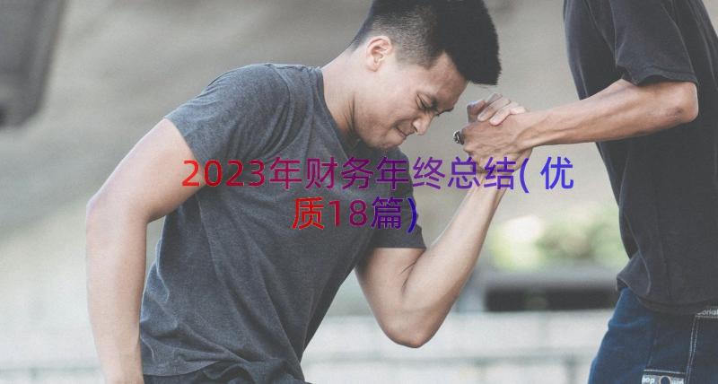 2023年财务年终总结(优质18篇)