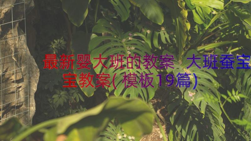 最新婴大班的教案 大班蚕宝宝教案(模板19篇)