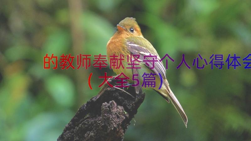 的教师奉献坚守个人心得体会(大全5篇)