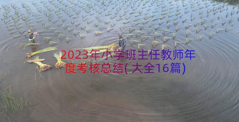 2023年小学班主任教师年度考核总结(大全16篇)