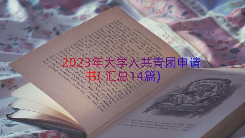 2023年大学入共青团申请书(汇总14篇)