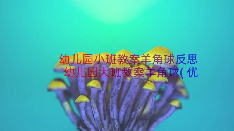 幼儿园小班教案羊角球反思 幼儿园大班教案羊角球(优质8篇)