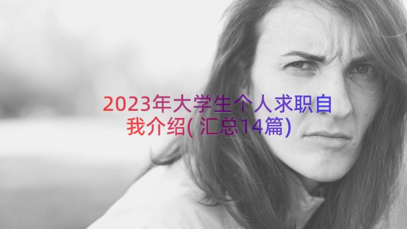 2023年大学生个人求职自我介绍(汇总14篇)