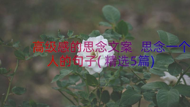 高级感的思念文案 思念一个人的句子(精选5篇)