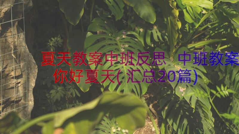 夏天教案中班反思 中班教案你好夏天(汇总20篇)