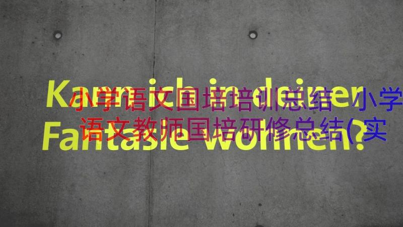 小学语文国培培训总结 小学语文教师国培研修总结(实用8篇)