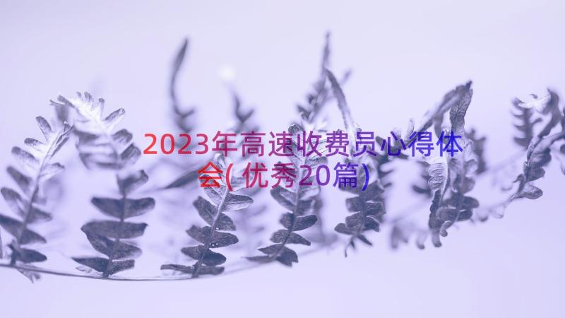 2023年高速收费员心得体会(优秀20篇)