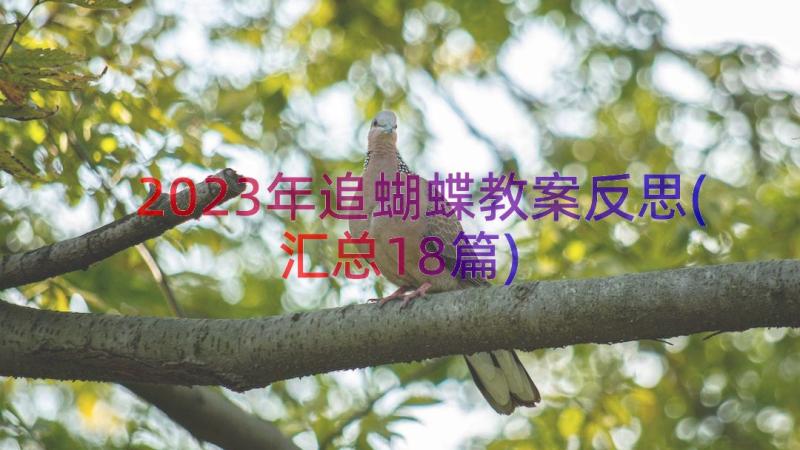 2023年追蝴蝶教案反思(汇总18篇)