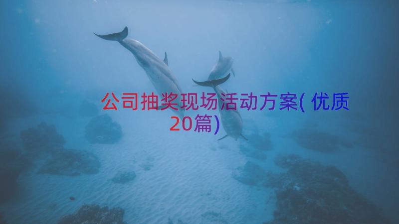 公司抽奖现场活动方案(优质20篇)