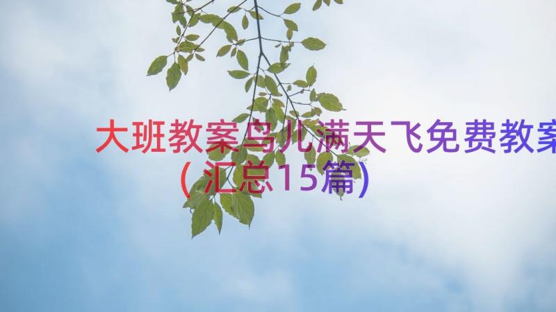 大班教案鸟儿满天飞免费教案(汇总15篇)