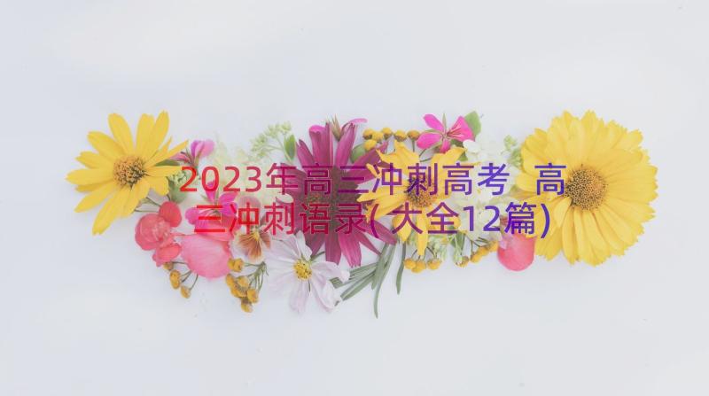 2023年高三冲刺高考 高三冲刺语录(大全12篇)