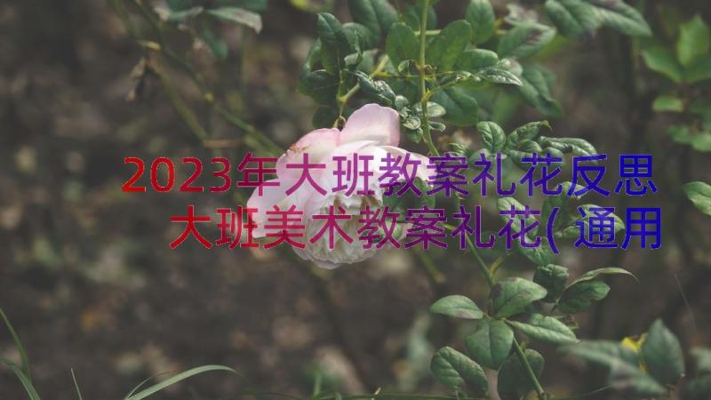 2023年大班教案礼花反思 大班美术教案礼花(通用8篇)