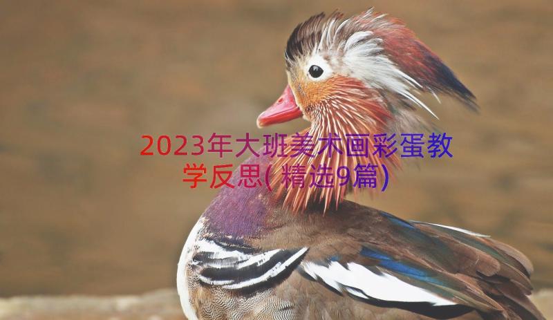 2023年大班美术画彩蛋教学反思(精选9篇)