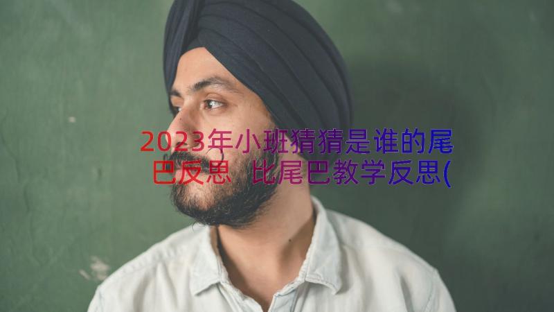 2023年小班猜猜是谁的尾巴反思 比尾巴教学反思(模板5篇)