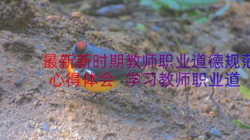 最新新时期教师职业道德规范心得体会 学习教师职业道德规范心得体会(实用16篇)