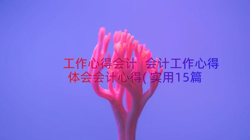 工作心得会计 会计工作心得体会会计心得(实用15篇)