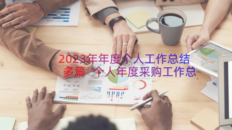 2023年年度个人工作总结多篇 个人年度采购工作总结参考(通用11篇)