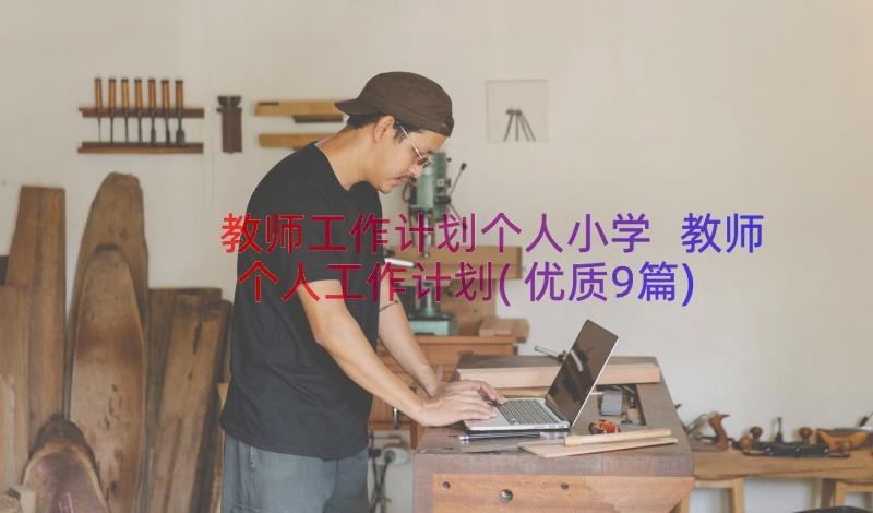 教师工作计划个人小学 教师个人工作计划(优质9篇)