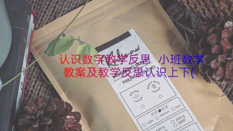 认识数字教学反思 小班数学教案及教学反思认识上下(通用19篇)