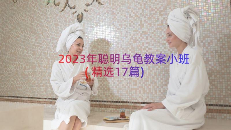 2023年聪明乌龟教案小班(精选17篇)