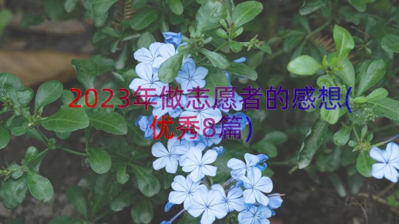 2023年做志愿者的感想(优秀8篇)