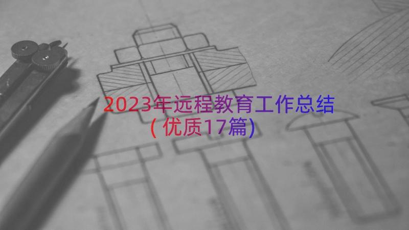 2023年远程教育工作总结(优质17篇)