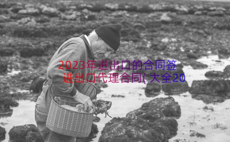 2023年进出口的合同签 进出口代理合同(大全20篇)