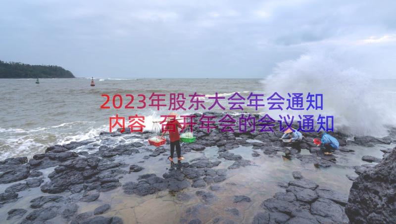 2023年股东大会年会通知内容 召开年会的会议通知(实用5篇)