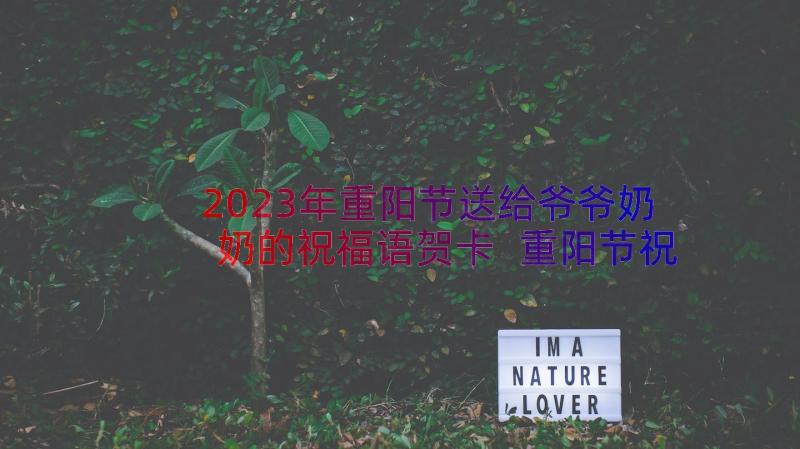 2023年重阳节送给爷爷奶奶的祝福语贺卡 重阳节祝福爷爷奶奶(大全14篇)