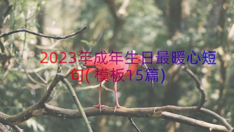 2023年成年生日最暖心短句(模板15篇)