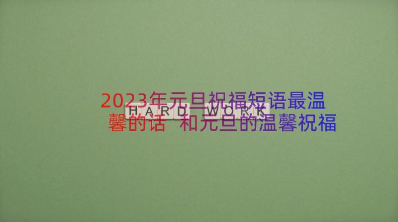 2023年元旦祝福短语最温馨的话 和元旦的温馨祝福短信(优秀13篇)