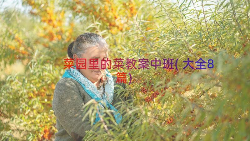 菜园里的菜教案中班(大全8篇)