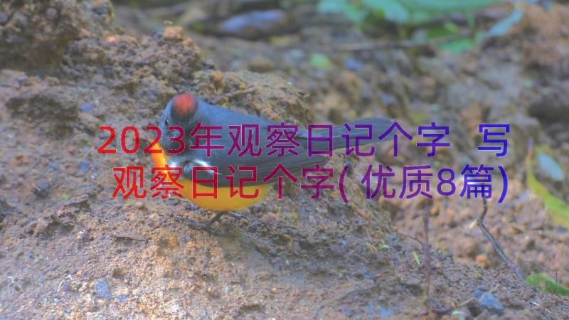 2023年观察日记个字 写观察日记个字(优质8篇)