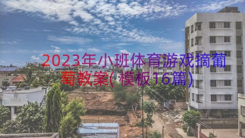 2023年小班体育游戏摘葡萄教案(模板16篇)