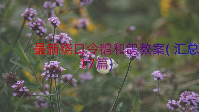 最新绕口令鹅和鸽教案(汇总17篇)