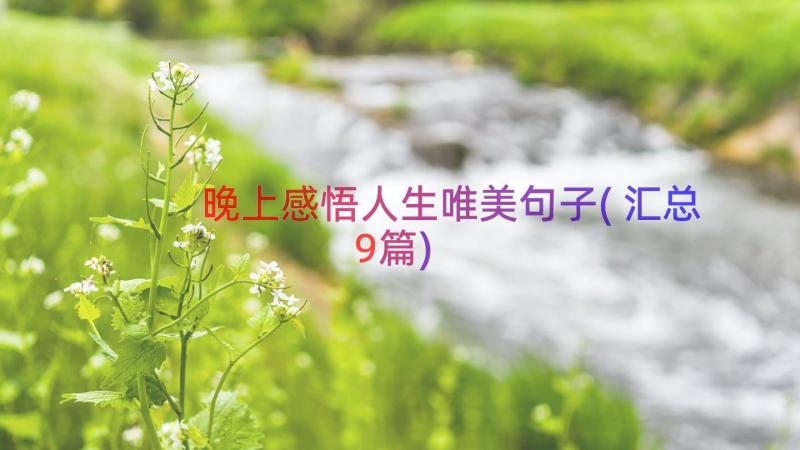 晚上感悟人生唯美句子(汇总9篇)