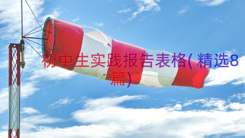 初中生实践报告表格(精选8篇)