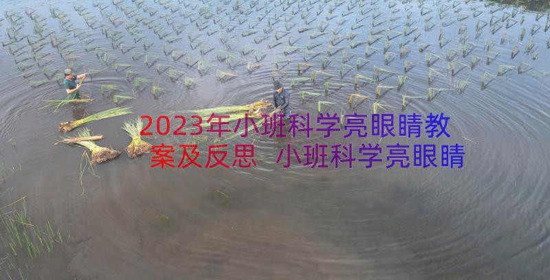 2023年小班科学亮眼睛教案及反思 小班科学亮眼睛教案(优质8篇)