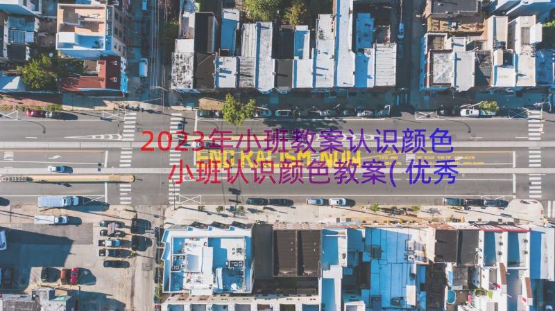 2023年小班教案认识颜色 小班认识颜色教案(优秀19篇)