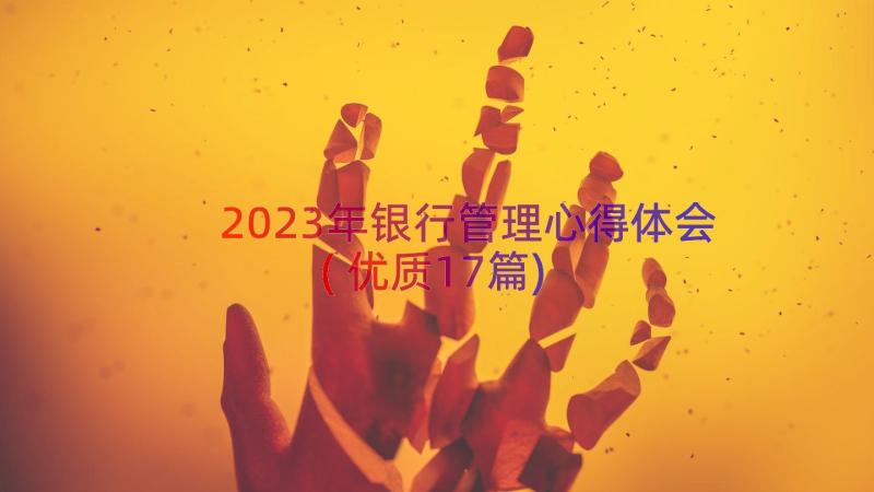 2023年银行管理心得体会(优质17篇)