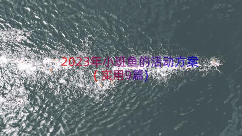 2023年小班鱼的活动方案(实用9篇)