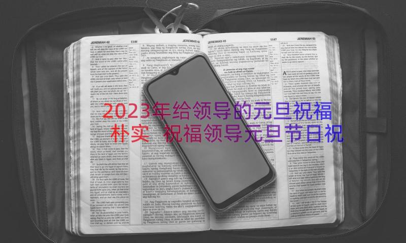 2023年给领导的元旦祝福朴实 祝福领导元旦节日祝福语(模板15篇)