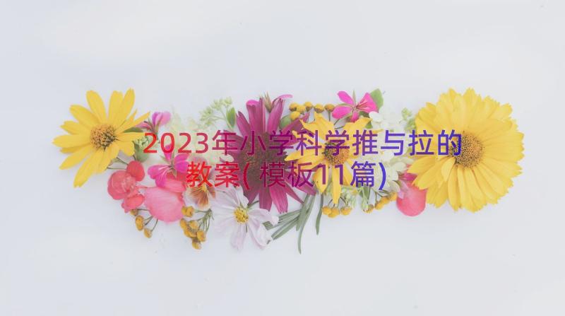 2023年小学科学推与拉的教案(模板11篇)